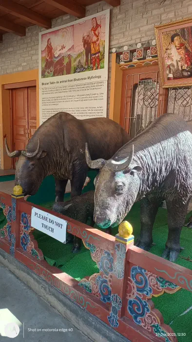  A closer look at Bhutan's national animal