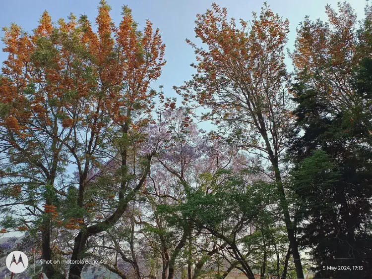 Nainital Expedition 2024: A Journal of Lakes, Peaks, and Pahadi Thrills